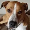 tonykinneyiv - @tonykinneyiv - TikTok