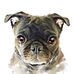 Tony Kouns - Facebook