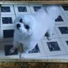 성원찡 - @tonykwon0922 - TikTok