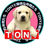 labtony - @tony.labrador - Instagram