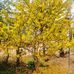ToNy Lạ - Facebook