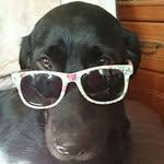 Tony Large - @large1938 - Instagram