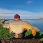 Tony Larkin - @tony_larkin_carpangler - Instagram