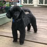 Tony Larkin - @tony.larkin.165 - Instagram