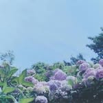 jun - @tony_leslie_ - Instagram