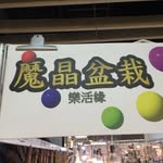 魔晶盆栽 - @tonylibby - Instagram