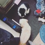 Tony LittleJohn - @tony.littlejohn - Instagram