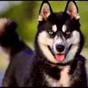 Tony Llorente - @tony.llorente - TikTok