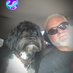 tony logsdon - @cardsfreak7 - Instagram