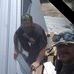 Tony Loyd - Facebook