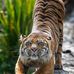 Tony LUI - Facebook