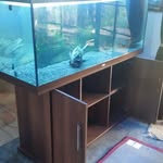 Tony Mangano - @tony19672023 - Instagram