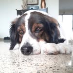 Tony Manuel - @tonymanuelaa - Instagram