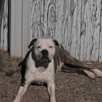 Tony Marano - @tony.marano.52 - Instagram