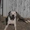 Tony Marano tunes - @tony.marano.tunes - TikTok