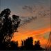 Tony Maresca - Facebook