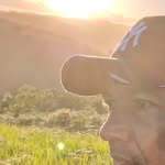 Tony Marley - @tonymarley245 - Instagram