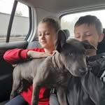 tony marsh - @tonymarsh40 - Instagram