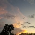 Tony Mcclendon - @mcclendon_tony - Instagram