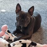 Tony Mears - @tonym10473 - Instagram
