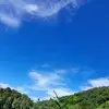 Tony Melara26 - @tonymelara26 - TikTok