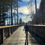 Tony Meng - @tonymeng7 - Instagram