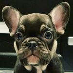 Tony meredith - @tonymeredith7 - Instagram