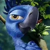tonymerlo446 - @tonymerlo446 - TikTok