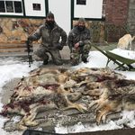 Tony Merrill - @coyote_addicts - Instagram