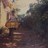 Tony Mesa - @tony.mesa - TikTok