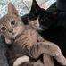 Tony Messick - Facebook