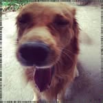 Tomas Fetzer - @tonymichaudjec - Instagram