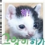 안지원 - @tonymichaudtsi - Instagram
