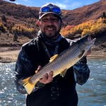 Tony Midgley - @tmidgley34 - Instagram
