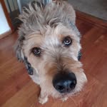 Tony Midyett - @tonymidyett - Instagram