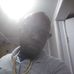 Tony Mikell - Facebook