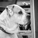 Tony Milligan - Facebook