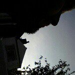 Tony Milligan - @tony_milligan - Instagram