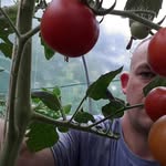 Tony Beekeeper Millward - @tony.millward - Instagram