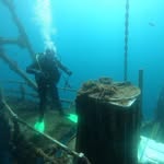 Tony Milne - @tony.milne.3532 - Instagram