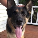 Tony Milner - @tony.ok.fish - Instagram