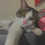 My Name Is Mr Tony - @tony_mioo - Instagram