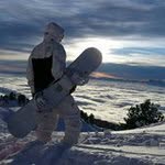 Tony Miossec - @tony.miossec - Instagram