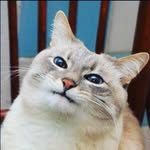 Blindfils - @tony_misery - Instagram