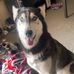 Tony Mize - Facebook