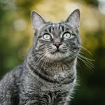 Tony Moen - @antman7619 - Instagram