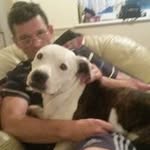 Tony Moir - @moirtony - Instagram