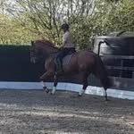 Tony moir - @moir.tony - Instagram