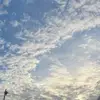 to_nyo_byo_8 - @to_nyo_byo_8 - TikTok