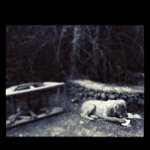 @tony_olivas - Instagram